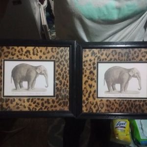 Leopard print photo frames with decorative pictures of animals